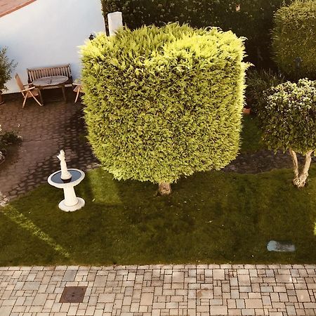 Casa Rehse I Stilvolles Apartment I 24H-Self-Check-In I Kostenlos Parken & Wlan I 55-Zoll-Smart&Kabel-Tv I Oepnv Erfurt Exterior photo